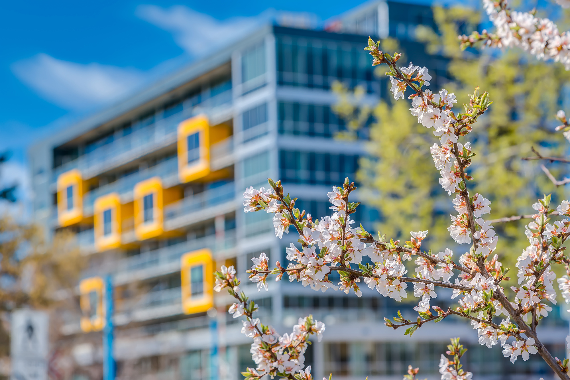 Calgary Condos For Sale Downtown