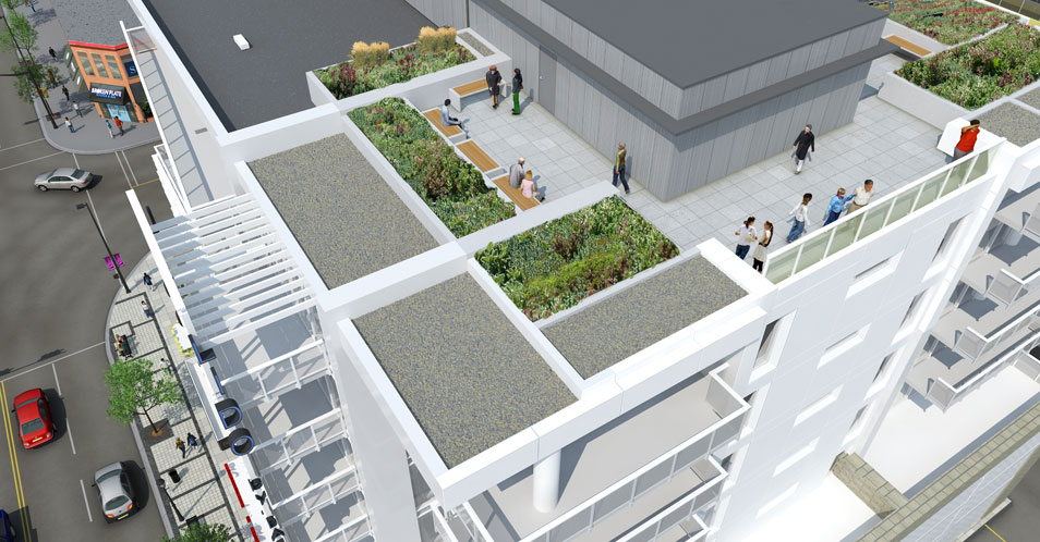 rooftop-garden-slide-2.jpg