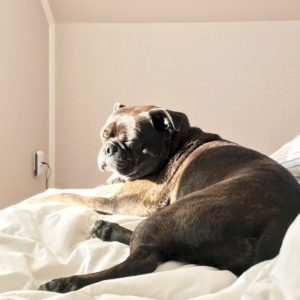 Three Ways to Get Rid of Discontentment, Starting with Your Home